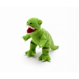 T-Rex Green Knitted Dinosaur