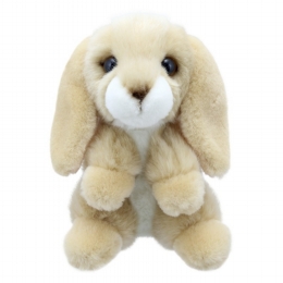 Wilberry Mini Rabbit (Lop-Eared)