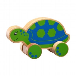 Turtle Wheelie