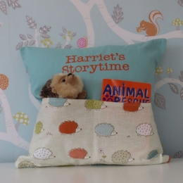 Hedgehog Storytime Cushion