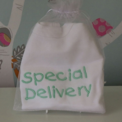 Special Delivery Bib